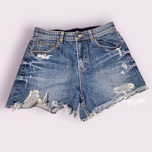 ❌️SOLD❌️10Yard Denim Distressed Women Shorts EUC